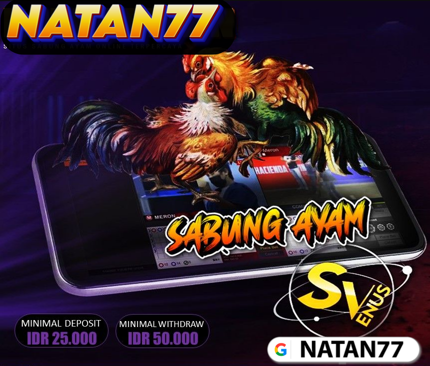 NATAN77: Link No.1 Agen Sabung Ayam 🐓 Online Terbesar Arena Bangkok Live 24 Jam  